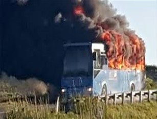 Autobus andato a fuoco lungo la Statale 87 tra Larino e Casacalenda, i chiarimenti del Servizio Mobilità della Regione Molise