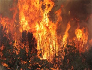 Frosinone: provvedimenti contro incendi e incuria dei terreni.