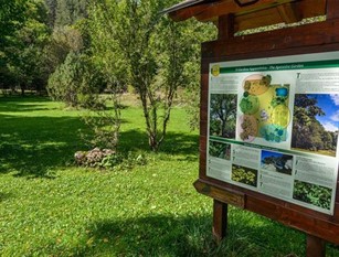 Un drone al servizio del Parco nazionale d’Abruzzo Lazio e Molise Addetti ente, con patentino, potranno controllare area protetta
