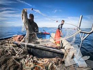 Pesca turismo ed ittiturismo: passa in II Commissione la proposta di legge della consigliera Aida Romagnuolo