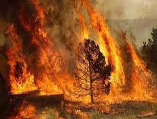 Incendi, Consiglio dei Ministri dichiara stato emergenza