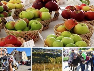 A Castel del Giudice nel week end protagoniste le mele Due giorni per 'celebrare' produzioni tipiche e antiche varietà