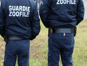 Guardie zoofile, al via a Frosinone lo svolgimento del servizio di vigilanza