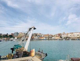 Coldiretti, fermo pesca ulteriore danno per marinerie Adriatico Organizzazione, arrivi prodotti ittici dall'estero a +34%