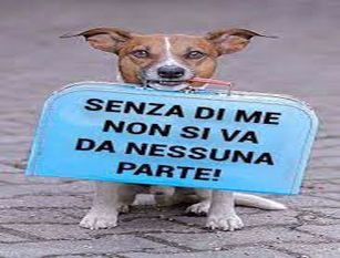 L ‘Amministrazione comunale di Isernia lancia una campagna di sensibilizzazione contro l’abbandono degli animali.