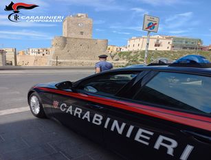 Termoli, furti di veicoli lungo il litorale molisano:i  Carabinieri  li sventano ed  eseguono, arresti e  denunce