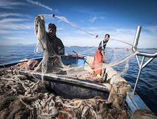 Pescaturismo e ittiturismo boicottati, Romagnuolo: ‘la crescita del Molise ostacolata dai personalismi’