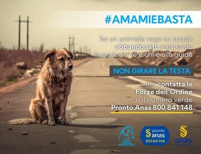 Anas lancia la campagna contro l’abbandono degli animali: “#AMAMIeBASTA”
