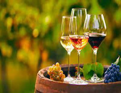 Tre Bicchieri 2024: i migliori vini di Abruzzo e Molise  premiati da Gambero Rosso.