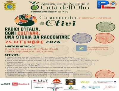 Larino celebra la 10ª Giornata Nazionale “Camminata tra gli Olivi” Una domenica tra natura, salute e tradizioni