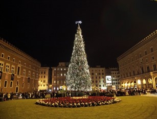 Roma, aggiudicata gara per Albero di Natale in piazza Venezia In arrivo abete alto più di 20 metri con 60.000 luci led e 500 sfere   