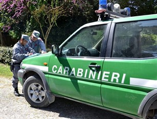 Abbandono di rifiuti. Scattano sanzioni da parte dei Carabinieri Forestali.