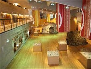 Museo Nazionale del Paleolitico di Isernia. Lavori di somma urgenza a protezione dell’area di scavo Realizzata una tettoia per evitare le  infiltrazioni meteoriche