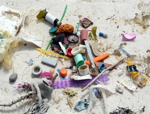 Rifiuti di plastica rinvenuti sula spiaggia di Termoli