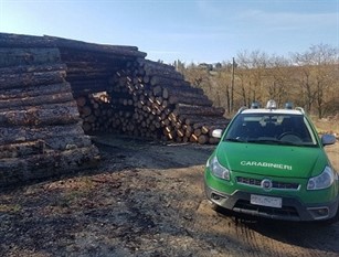 Carabinieri Forestali in azione: contrasto al pascolo abusivo, alla gestione illecita dei rifiuti e al commercio illegale di legname e derivati.