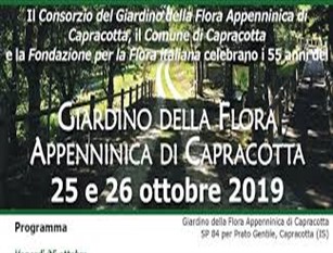 A fine ottobre verrà celebrato l 55° anniversario della fondazione del Giardino di Flora Appenninica di Capracotta