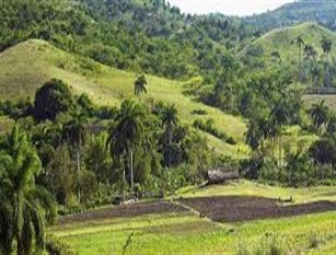 “Tutela, Conservazione e Valorizzazione della Diversità Vegetale del Territorio Molisano” una proposta avanzata dal PD in Consiglio Regionale