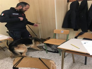 I carabinieri di Agnone hanno effettuato controlli antidroga negli istituti scolastici ed una denuncia per guida sotto l’influenza di Cocaina.