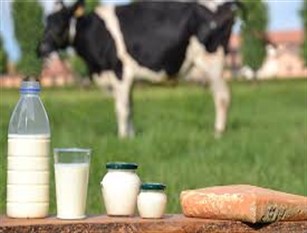 Forche Caudine, settore lattiero caseario: “ancora polemiche”