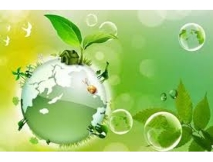 Presentato il progetto di vigilanza ambientale “Ambiente pulito” Cretella: “Un patto di collaborazione sociale per il bene pubblico che ci aiuterà anche a diffondere una nuova sensibilità ambientale urbana”