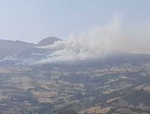 Incendi, in Molise brucia la montagna di Capracotta Distrutti 9 ettari di vegetazione, ancora oggi Vigili sul posto
