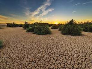 Anbi lazio: situazione drammmatica per la siccità