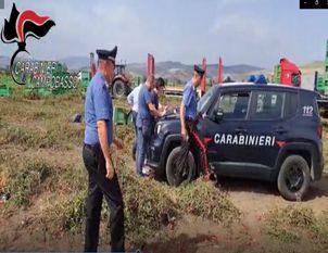 Campobasso, sicurezza sul lavoro: stretta dei Carabinieri. Effettuati serrati controlli in agricoltura