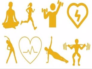 Assemblea Capitolina, approvata mozione per “Giornata Nazionale del Movimento per la salute” Celli-Bonessio: promuovere attività fisica come prevenzione e tutela della salute