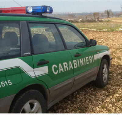 Agricoltore coltiva abusivamente sul tratturo, sanzionato dai Carabinieri Forestali
