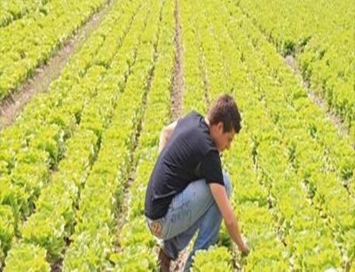 Dalla regione Lazio un milione mezzo per valorizzare l’agroalimentare
