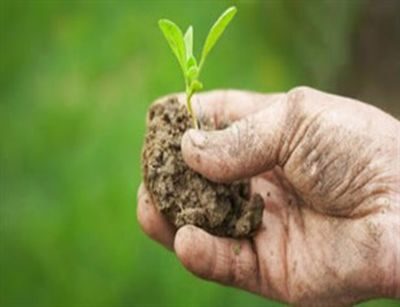 Gemma, decreto agricoltura, “il Governo Meloni ha rispettato gli impegni presi con gli operatori del settore”