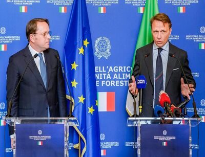 Marchio biologico italiano, Nesci: «Scelta importante del ministro Lollobrigida: più tutela per produttori, qualità e Made in Italy»