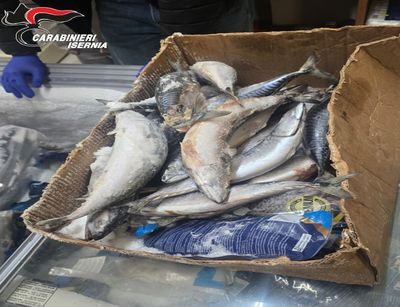 Prodotti alimentari senza tracciabilità: sequestrati dai carabinieri