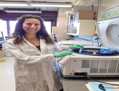 Ricerca Neuromed: Sclerosi multipla, una dieta ricca di grassi potrebbe aggravare la malattia