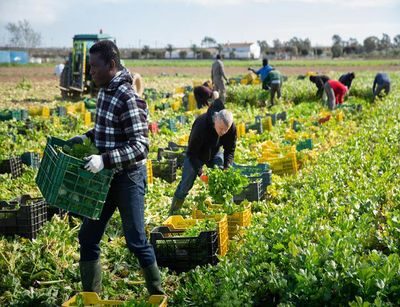 Immigrazione in Molise, cresce la presenza straniera