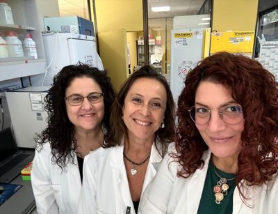 Schizofrenia, uno studio approfondisce le alterazioni dei mitocondri La ricerca, condotta su modelli animali, chiarisce meglio come cambiano queste strutture cellulari, fondamentali per fornire energia alle cellule, mettendo in evidenza differenze tra maschi e femmine.